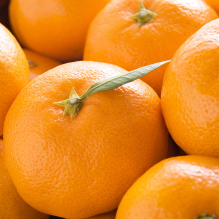 【ふるさと納税】【訳あり】和歌山下津みかん約5kgご家庭用向け(サイズ混合) ★2025年11月中旬～2026年1月中旬頃より順次発送［TM77］ | フルーツ 果物 くだもの 食品 人気 おすすめ 送料無料 サムネイル2