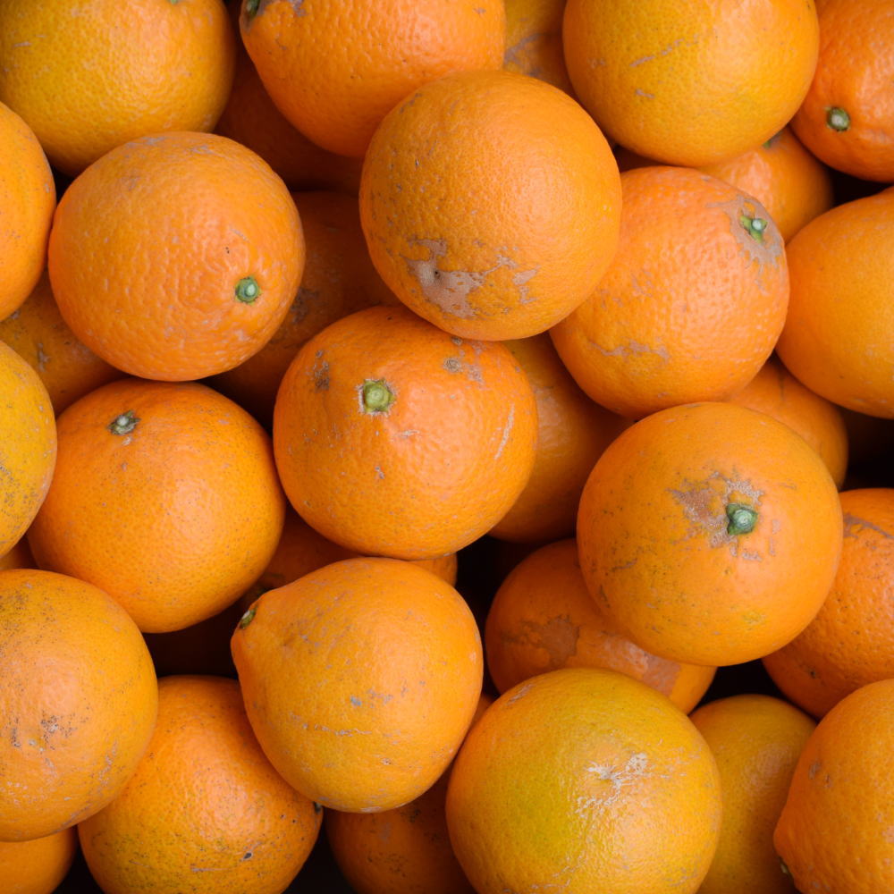 【ふるさと納税】【濃厚】有田産清見オレンジ約5kg（サイズおまかせ・ご家庭用）★2026年2月中旬～2026年3月中旬頃より順次発送【TM151w】 | フルーツ 果物 くだもの 食品 人気 おすすめ 送料無料 サムネイル2