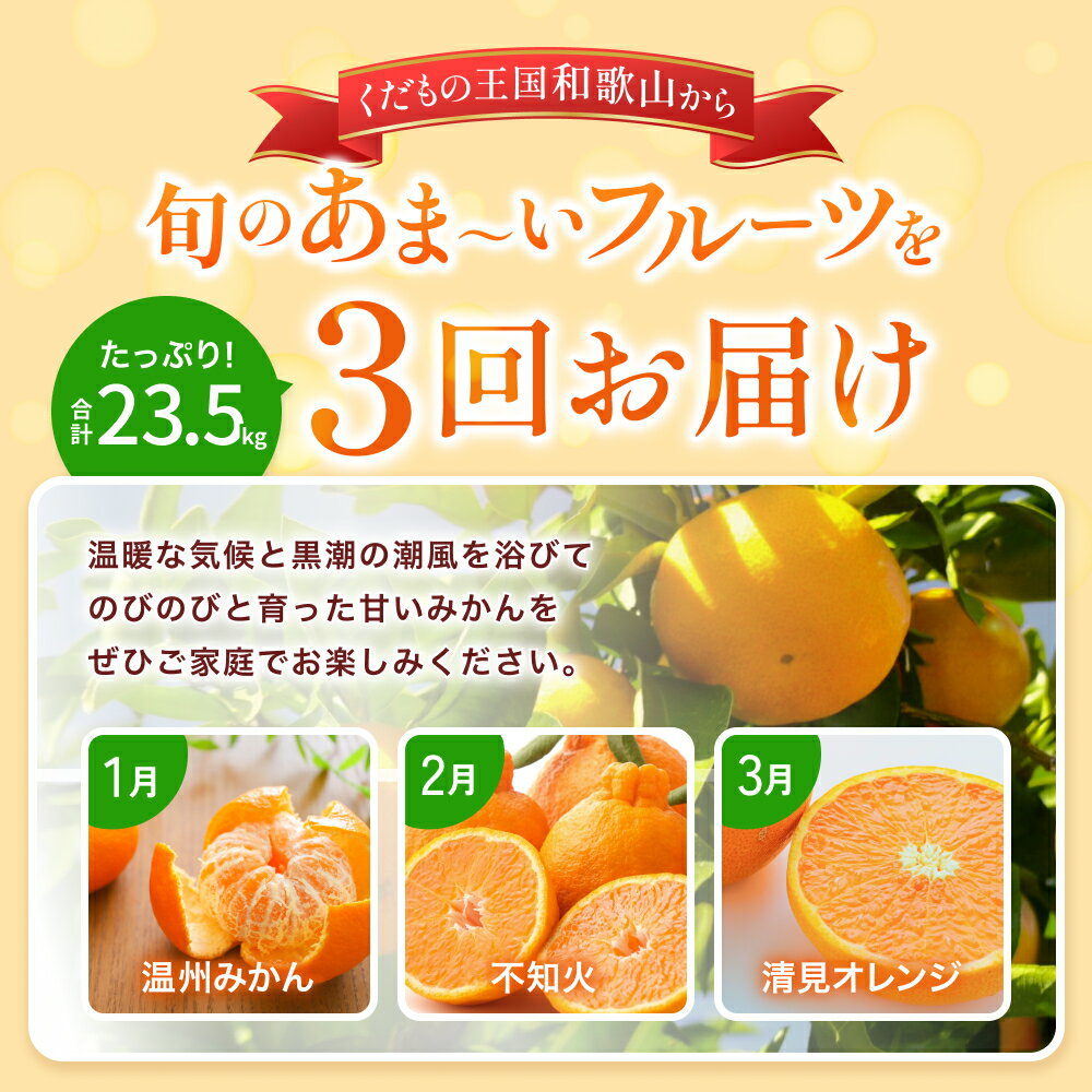 【ふるさと納税】 【たっぷり23.5kg】 訳あり みかん 定期便 / 大容量 温州みかん 不知火 清見 オレンジ 柑橘 フルーツ 和歌山 サムネイル2