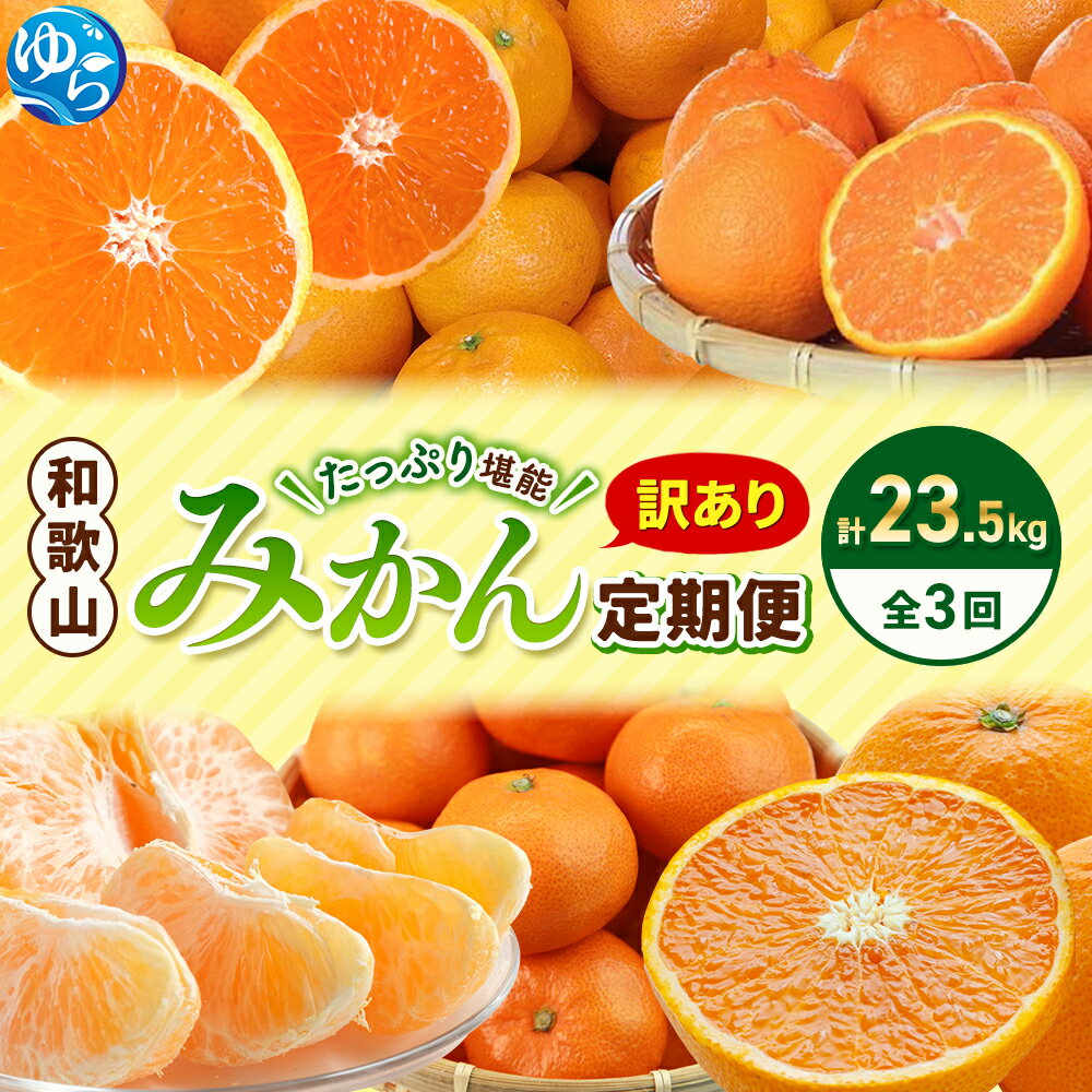 【たっぷり23.5kg】 訳あり みかん 定期便 / 大容量 温州みかん 不知火 清見 オレンジ 柑橘 フルーツ 和歌山