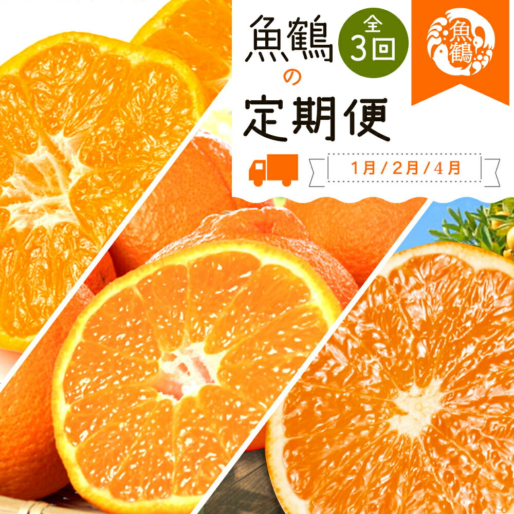 【定期便】【全3回】紀州和歌山産旬の柑橘定期便【みかん・不知火・清見オレンジ】 / フルーツ 果物 旬 定期 温州みかん しらぬい しらぬひ 清見 温州みかん 有田 定期便