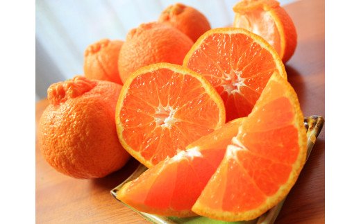 【ふるさと納税】高級ブランド田村の完熟紀州デコ(不知火)【先行予約】※2026年2月下旬頃～3月中旬頃に順次発送予定(お届け日指定不可) 【UT44】 | 由良町 和歌山 由良 ふるさと 納税 取り寄せ お取り寄せ フルーツ お取り寄せフルーツ ご当地 果物 柑橘 柑橘類 かんきつ類 サムネイル2