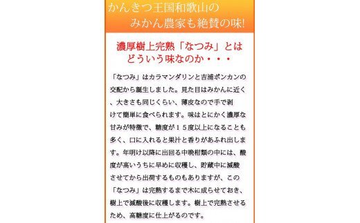 【ふるさと納税】初夏のみかん　なつみ 【選べる容量】約3kg 約5kg【2026年4月中旬頃〜2026年4月下旬頃発送】【先行予約】【UT56】 サムネイル2