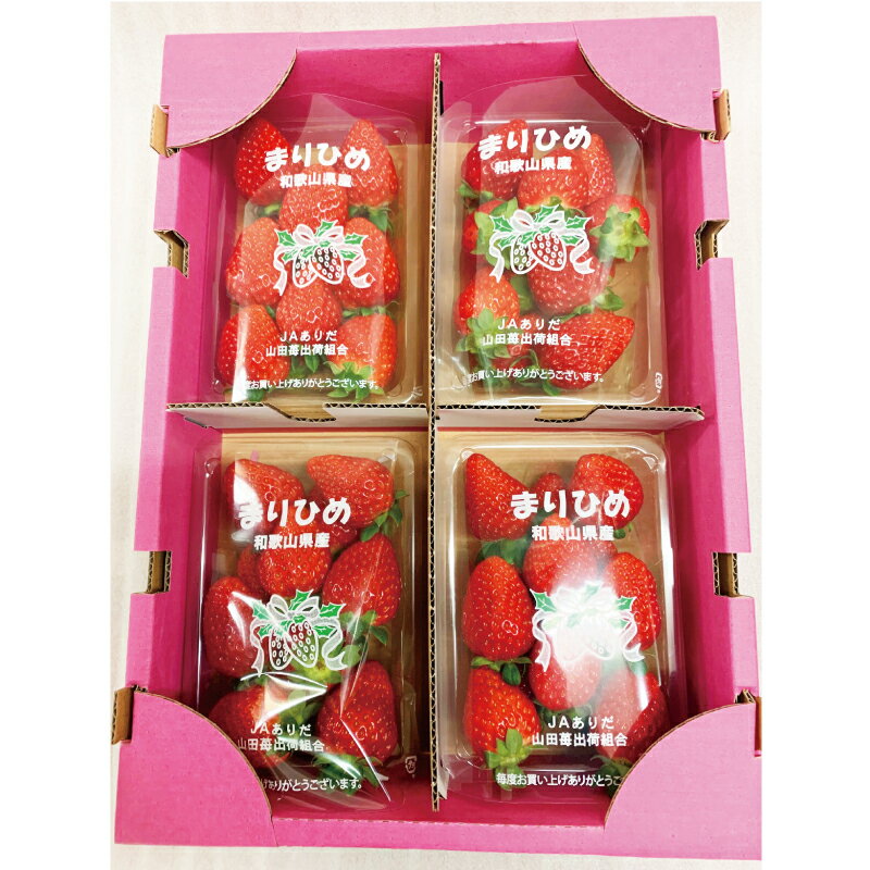 【ふるさと納税】紀州和歌山ブランドいちご「まりひめ」約250g×4P 【2025年2月上旬頃〜2025年3月下旬頃に順次発送】【UT39】 サムネイル2
