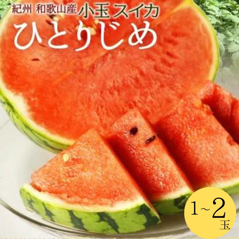 紀州和歌山産 小玉スイカ「ひとりじめ」 【選べる容量】 1玉 2玉【2026年6月上旬頃～2026年7月上旬頃に順次発送】【UT85】 | すいか 小玉 小さい ひとりじめ 1玉 和歌山県産 農家直送 夏 旬 くだもの 果物 野菜人気 おすすめ ふるさと納税 和歌山県 由良町
