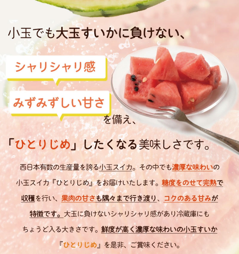 【ふるさと納税】紀州和歌山産 小玉スイカ「ひとりじめ」 【選べる容量】 1玉 2玉【2026年6月上旬頃～2026年7月上旬頃に順次発送】【UT85】 | すいか 小玉 小さい ひとりじめ 1玉 和歌山県産 農家直送 夏 旬 くだもの 果物 野菜人気 おすすめ ふるさと納税 和歌山県 由良町 サムネイル3