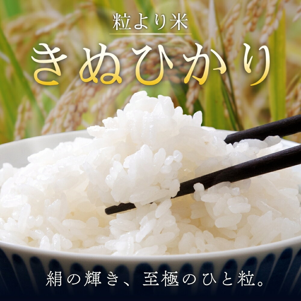 【ふるさと納税】 【7日以内発送】 令和7年度産 きぬひかり 5kg 10kg ※お届け日指定不可※ / 白米 お米 キヌヒカリ 精米 スピード配送 //best - 画像2