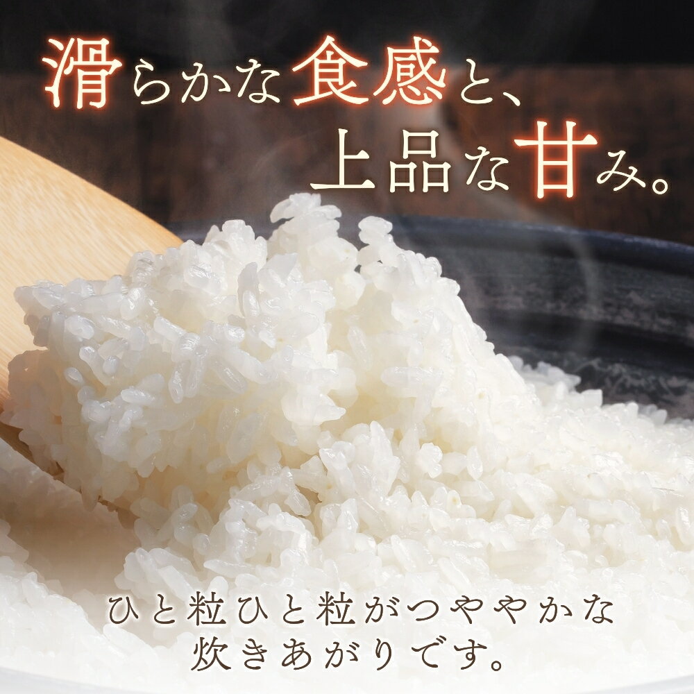 【ふるさと納税】 【7日以内発送】 令和7年度産 きぬひかり 5kg 10kg ※お届け日指定不可※ / 白米 お米 キヌヒカリ 精米 スピード配送 //best - 画像3