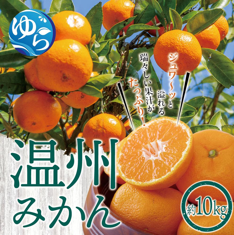 【ふるさと納税】和歌山県産　温州みかん10kg【先行予約】※2025年12月初旬頃～順次発送予定(お届け日指定不可) / みかん 由良町 ミカン 柑橘 期間限定 和歌山 温州 密柑 くだもの フルーツ 甘い ジューシー 果汁 サムネイル2
