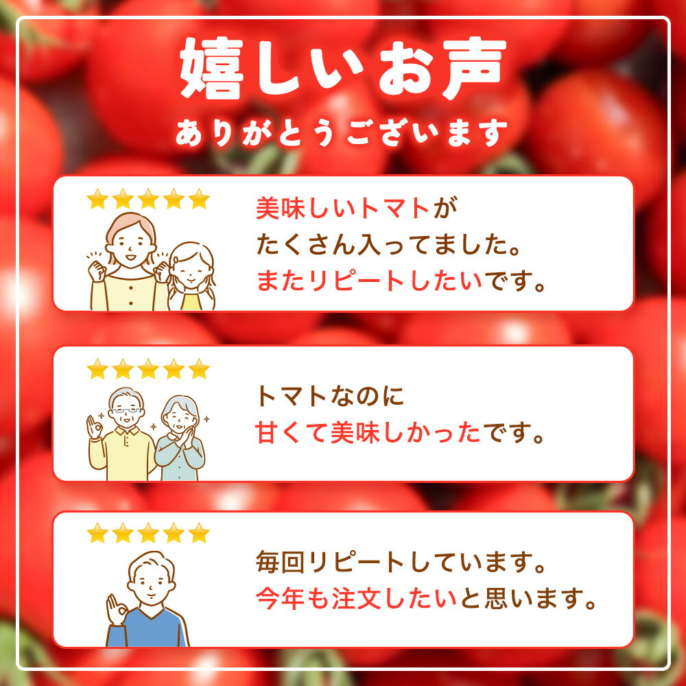 【ふるさと納税】 ミニトマト ゆら / プチトマト 和歌山 産地直送 甘い トマト 由良 2kg ※2025年10月中旬頃から順次発送予定(お届け日指定不可) サムネイル3