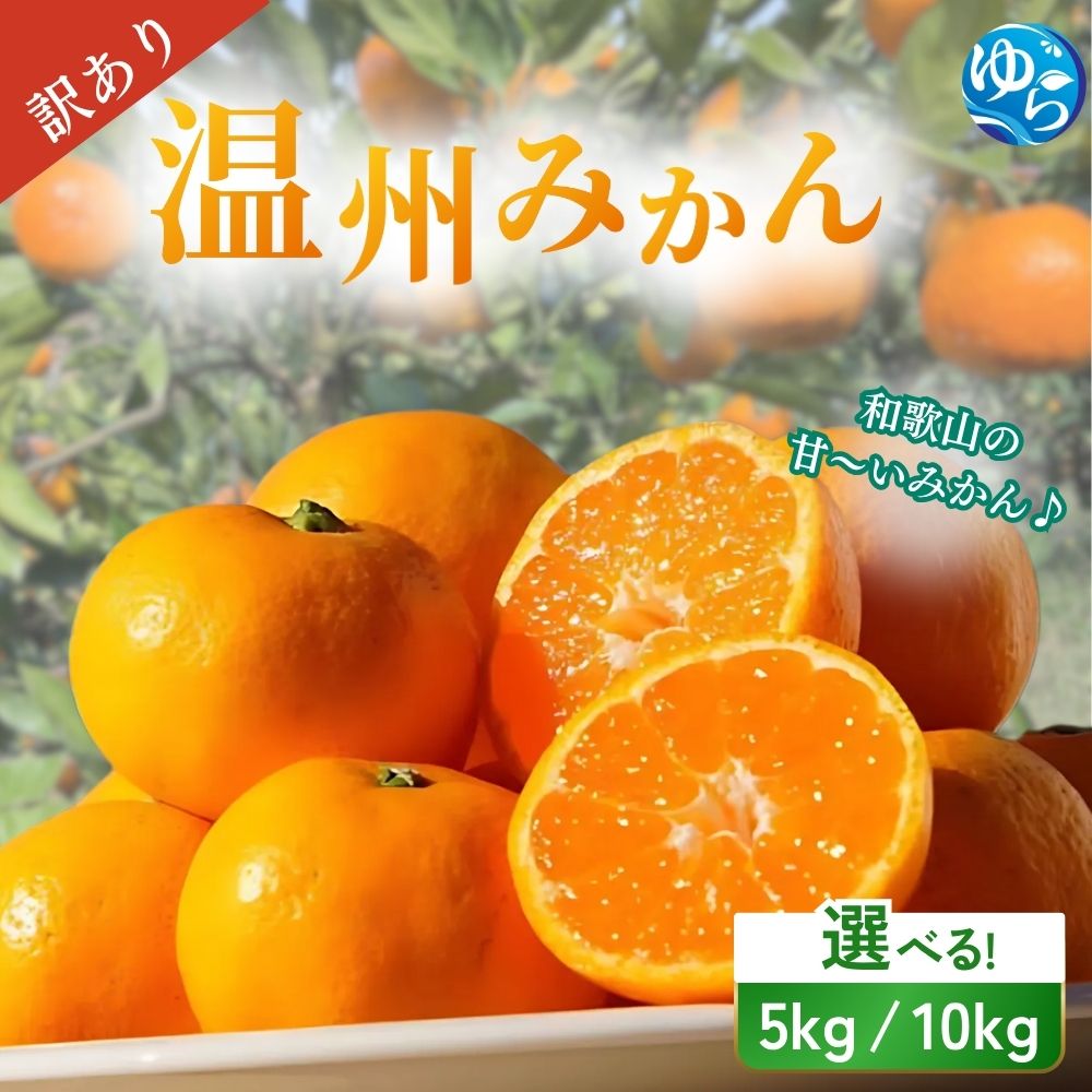 ＼訳あり／ 温州みかん 5kg 10kg【2025年11月下旬～順次発送予定】/ 数量限定 みかん ミカン 和歌山県 柑橘 甘い 蜜柑 フルーツ 果物 くだもの 食品 産地直送 由良町 ご家庭用 温州 訳ありみかん