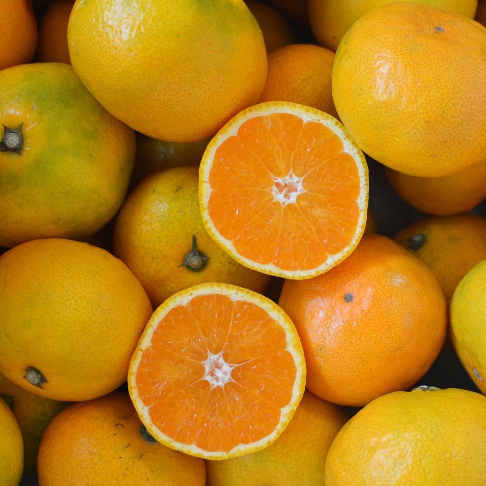 【ふるさと納税】 ＼訳あり／ ゆら早生みかん 5kg 10kg【2025年10月初旬～順次発送予定】/ みかん ミカン 和歌山県 柑橘 早生 甘い 蜜柑 フルーツ 果物 くだもの 食品 産地直送 由良町 ご家庭用 ゆら早生 早生みかん サムネイル3