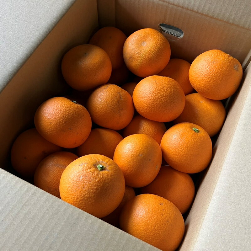 【ふるさと納税】【来シーズン先行予約】和歌山県産 紅 はっさく 不揃い 約10キロ サイズおまかせ サムネイル3