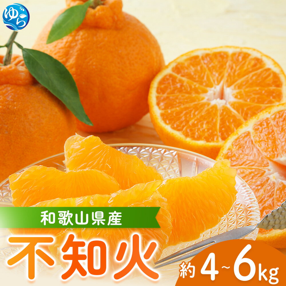【来シーズン先行予約】しらぬい (玉数おまかせ) 4kg～6kg 不知火 果物 晩柑 フルーツ 和歌山 由良町 みかん 柑橘