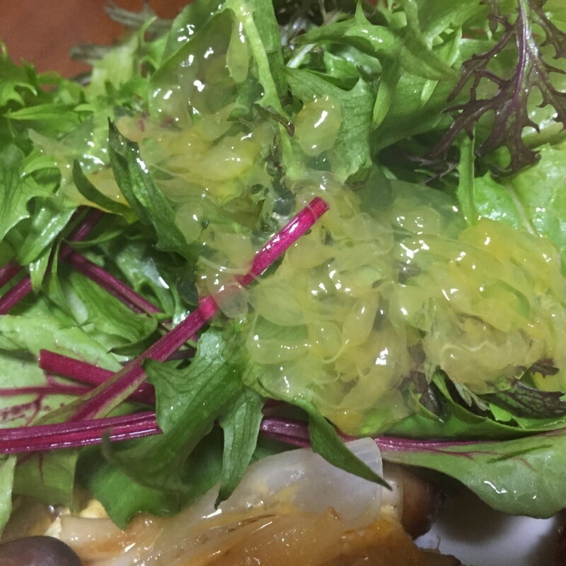 【ふるさと納税】つぶつぶが綺麗で美味しい「八朔ドレッシング」200g【選べる本数】 / 由良町 ドレッシング 調味料 八朔 フルーツ 柑橘 サラダ 和歌山 //kakou サムネイル2