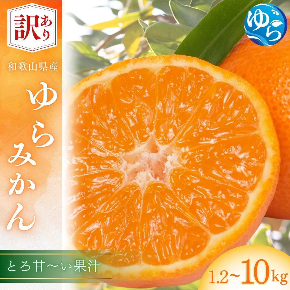 訳あり ゆら みかん / 温州みかん 和歌山 わけあり 甘い 柑橘 由良 1.2kg 5kg 10kg【配送時期が選べる】※2025年11月下旬～順次発送