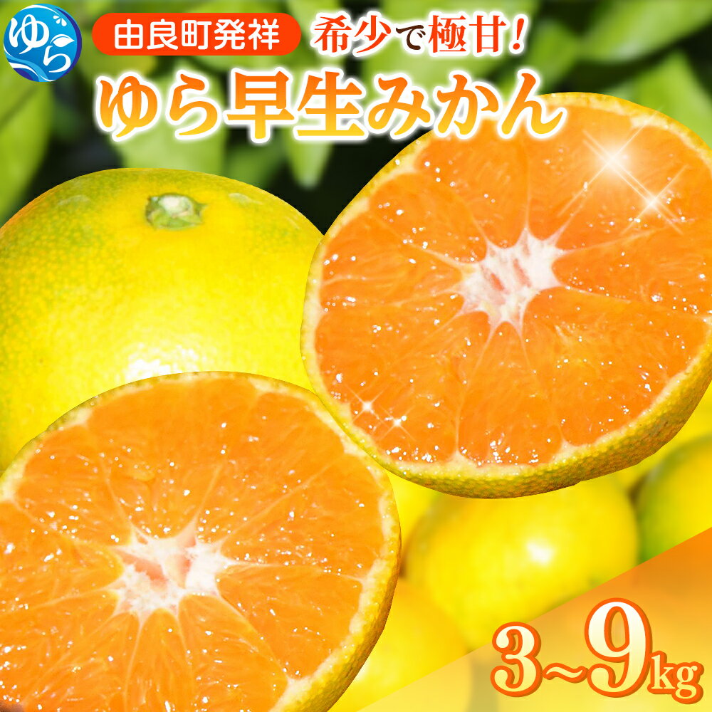 ゆら早生 ( 由良早生 ) みかん 2026農産物トレンド調査1位！ 評価★5 / 3kg 4.5kg 9kg 温州みかん 和歌山 由良町 甘い 農薬削減 ※2026年10月中旬～順次発送 //meisan //best