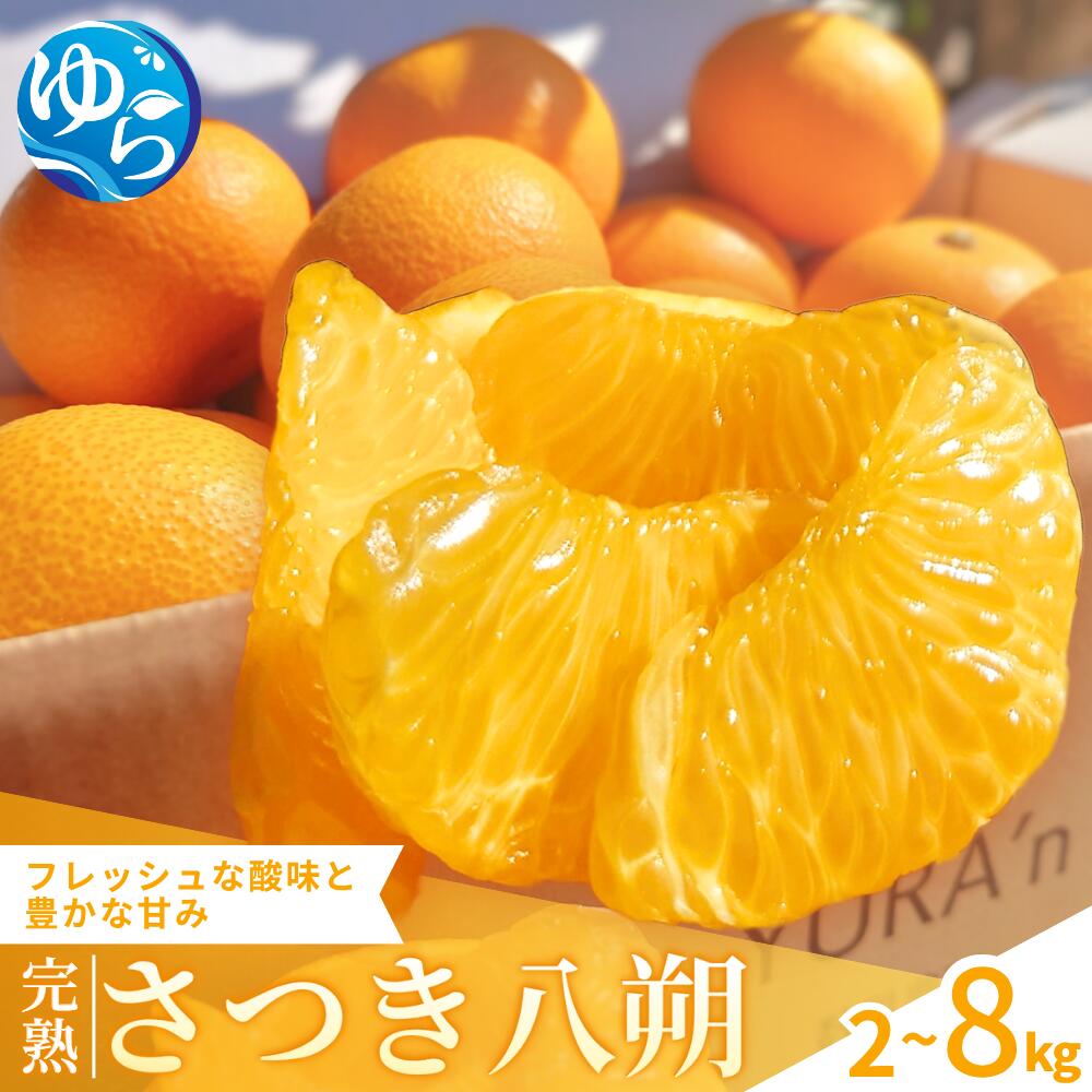 さつき 八朔 完熟 / はっさく みかん 柑橘 晩柑 和歌山 由良町 甘い 農家直送 数見農園 / 2kg 4kg 8kg ※2026年3月下旬頃から発送予定
