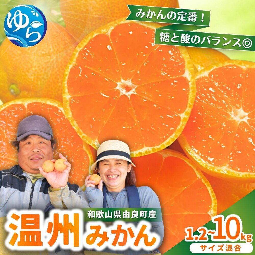 みかん 温州みかん / 柑橘 密柑 和歌山 由良町 甘い 2kg 5kg 10kg ≪配送月が選べる！≫