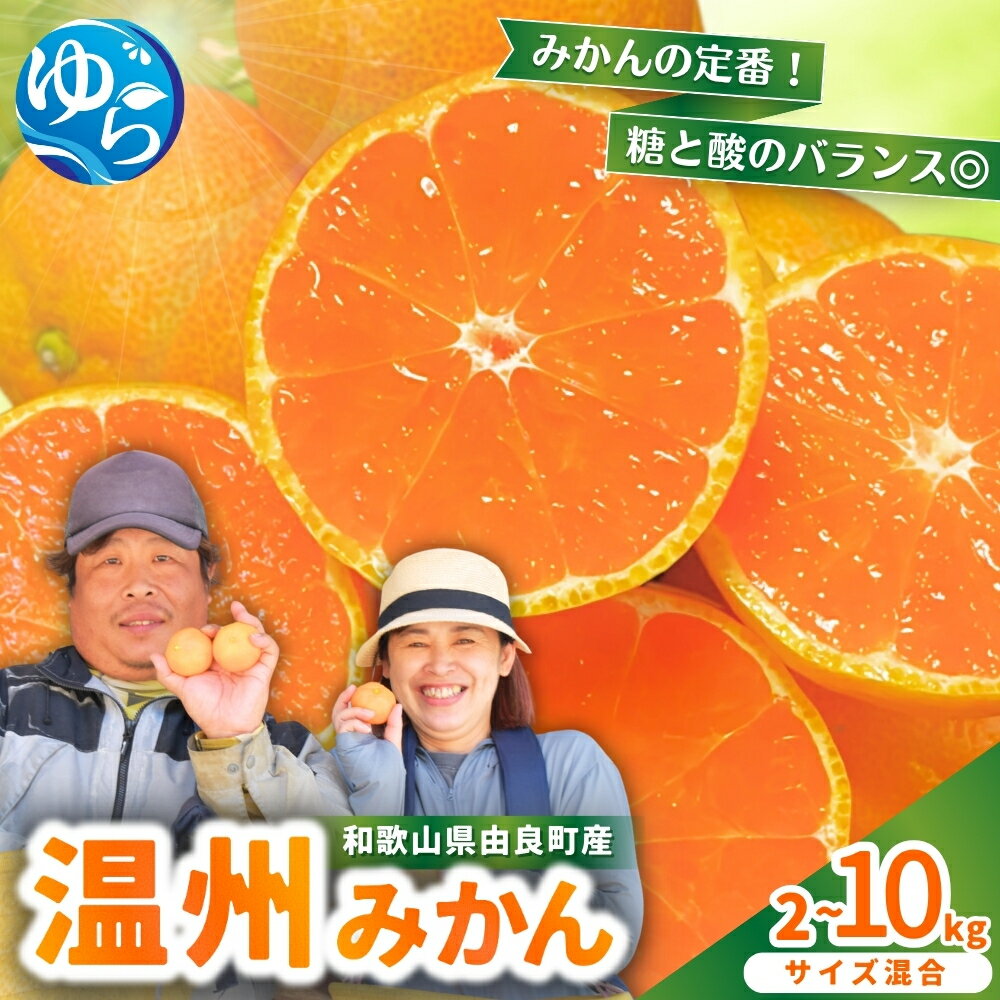 温州 みかん / 柑橘 甘い 和歌山 2L 2kg 5kg 10kg ≪配送月が選べる！≫