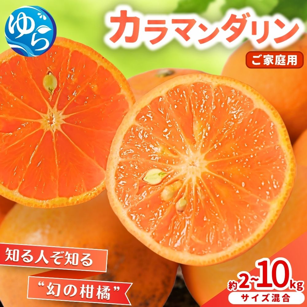 カラマンダリン 農家直送 / みかん 柑橘 晩柑 和歌山 由良町 甘い / 2kg 5kg 10kg （サイズ混合） ※2026年3月下旬～順次発送農家直送