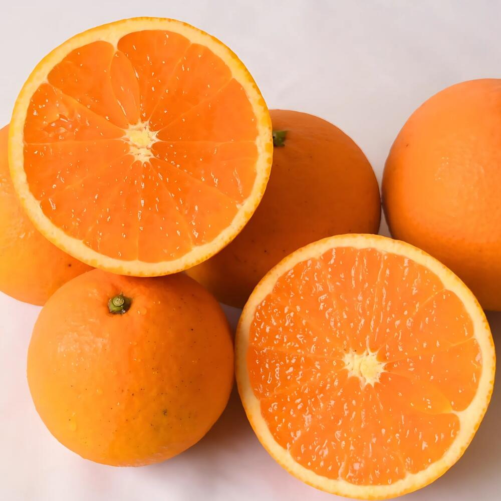 【ふるさと納税】 清見 オレンジ / みかん きよみ 柑橘 晩柑 和歌山 由良町 農家直送 / 2kg 5kg 10kg (サイズ混合） ※2026年3月上旬～順次発送 サムネイル2