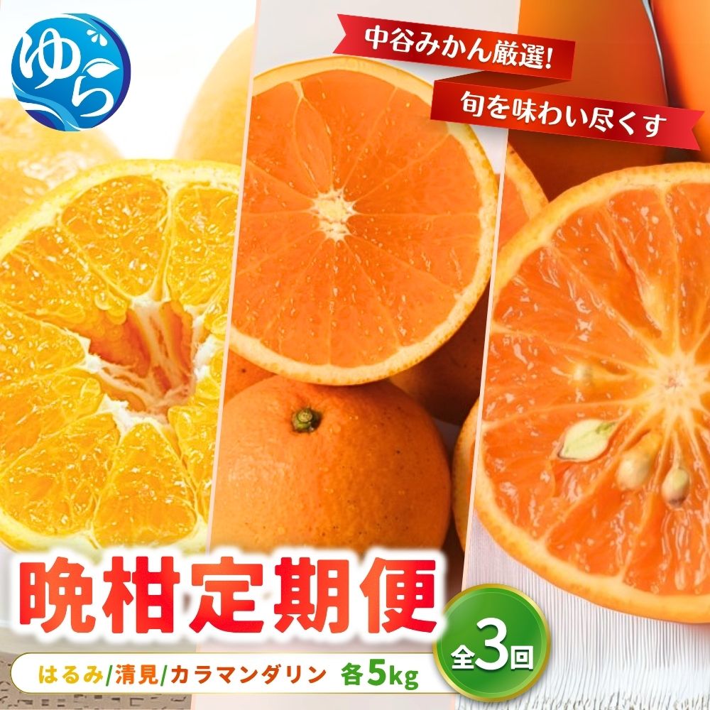 柑橘 定期便 全3回 / はるみ みかん・清見 オレンジ・カラマンダリン / 柑橘 晩柑 フルーツ定期便 和歌山 由良町 農家直送