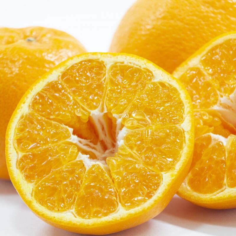 【ふるさと納税】 はるみ みかん 農家直送 / 柑橘 晩柑 和歌山 由良町 甘い / 2kg 5kg 10kg (サイズ混合） ※2026年2月上旬～順次発送 サムネイル2