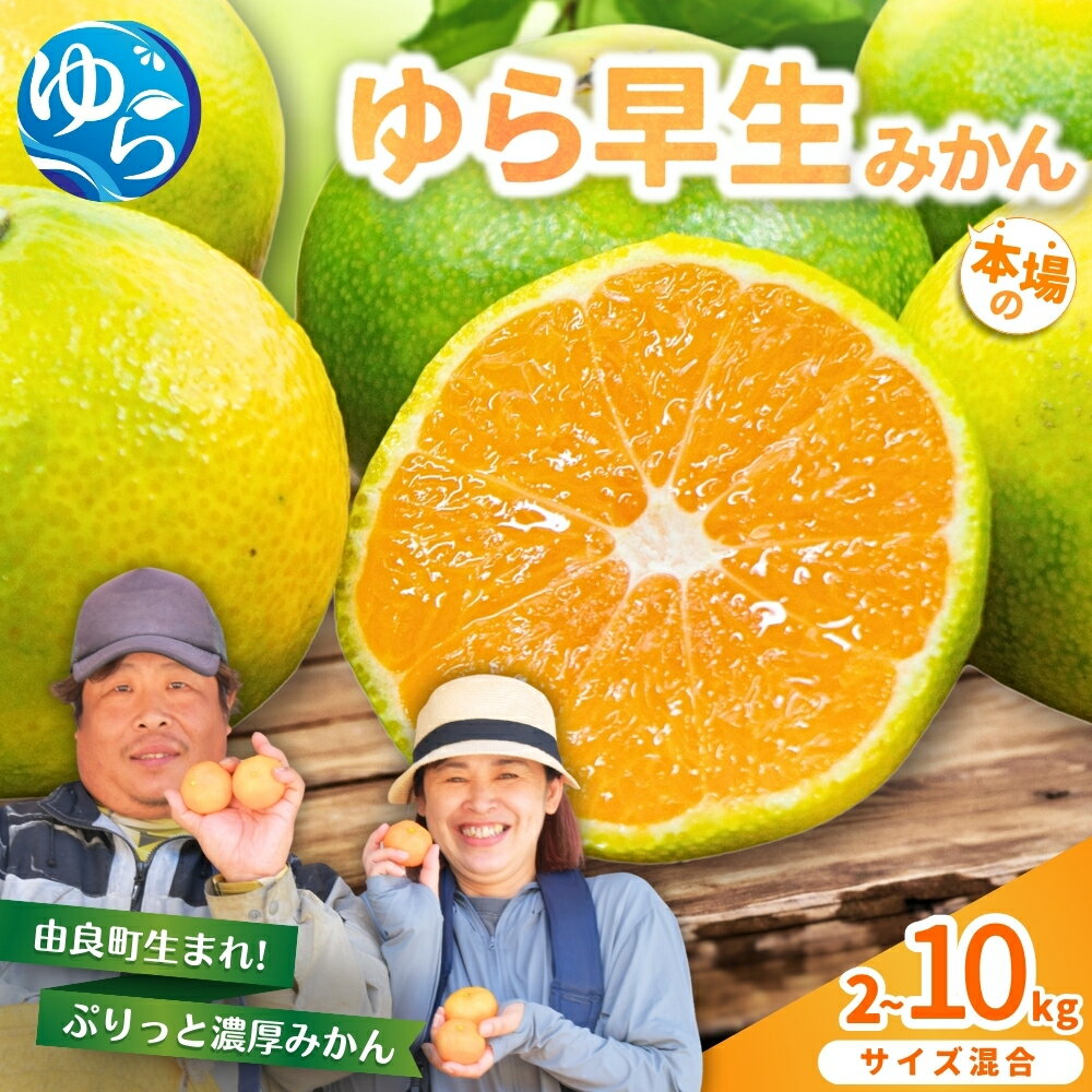 ＼評価4.8超！／ みかん ゆら早生 / 2kg 5kg 10kg 極早生 早生 温州みかん 和歌山 柑橘 ※10月中旬頃～10月下旬頃に順次発送予定 //yurawase //meisan