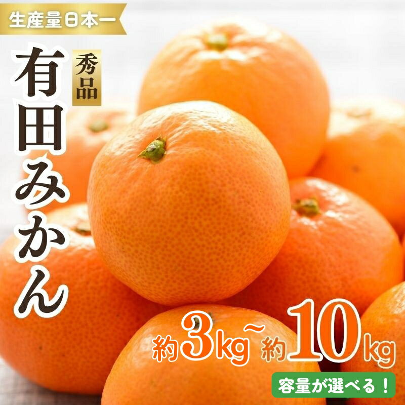 紀州有田みかん 秀品 約3kg 約5kg 約10kg | ※2025年11月下旬～2026年1月中旬頃発送予定 | みかん ミカン 和歌山 由良 フルーツ 果物 柑橘 和歌山県産 お取り寄せ 人気