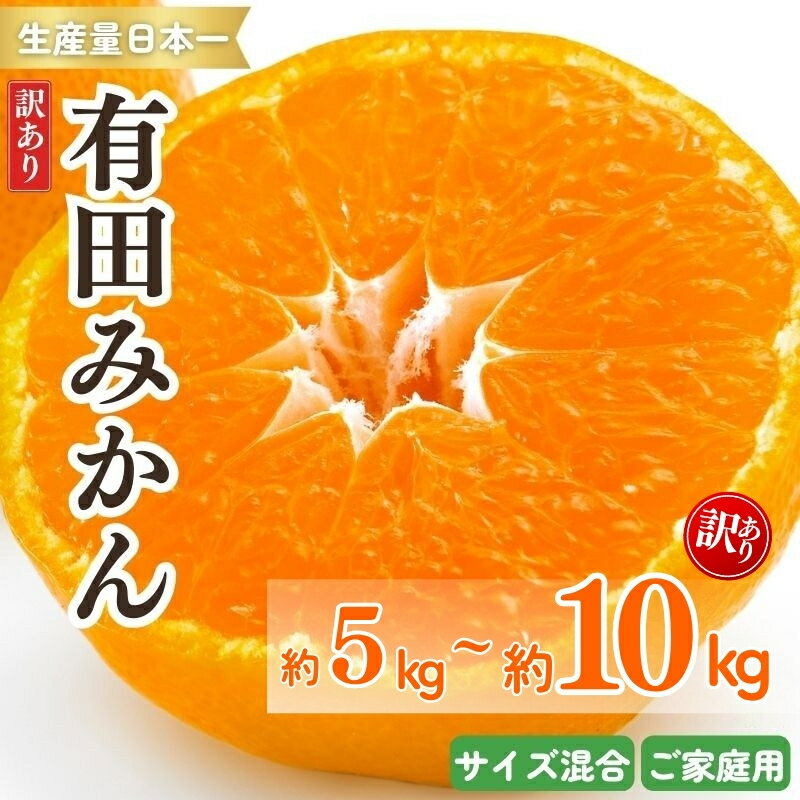 紀州有田みかん 訳あり キズ 御家庭用 サイズ混合 約5kg 約10kg | ※2025年11月下旬～2026年1月中旬頃順次発送予定 | みかん ミカン 和歌山 由良 訳あり 家庭用 サイズ混合 おまかせ フルーツ 果物 柑橘 和歌山県産 お取り寄せ ふるさと納税 返礼品