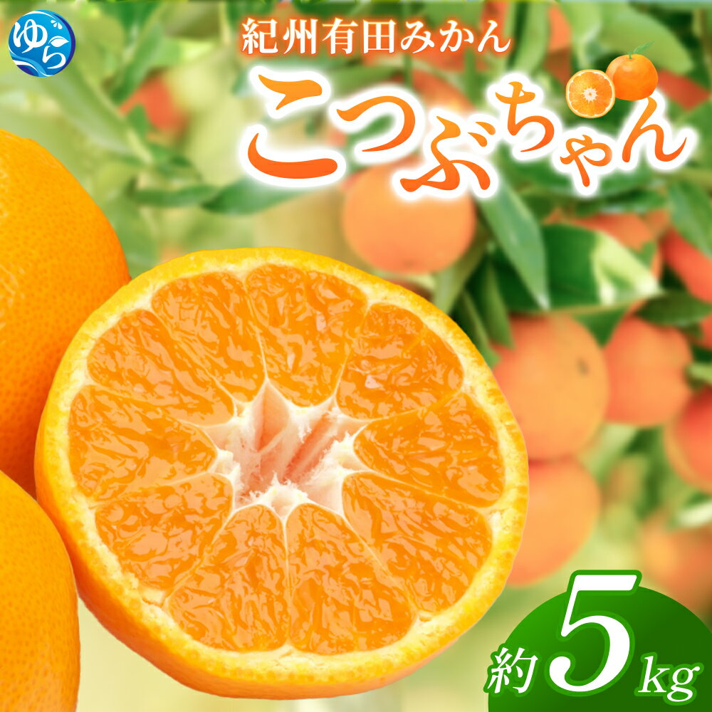 紀州有田みかん　こつぶちゃん　約5kg | ※2025年11月下旬～2026年1月中旬頃順次発送予定 | みかん ミカン 有田 小粒 和歌山 柑橘 フルーツ 果物 くだもの 家庭用 濃厚 先行予約 期間限定 農家直送 5kg 由良町 ふるさと納税 返礼品 お礼の品