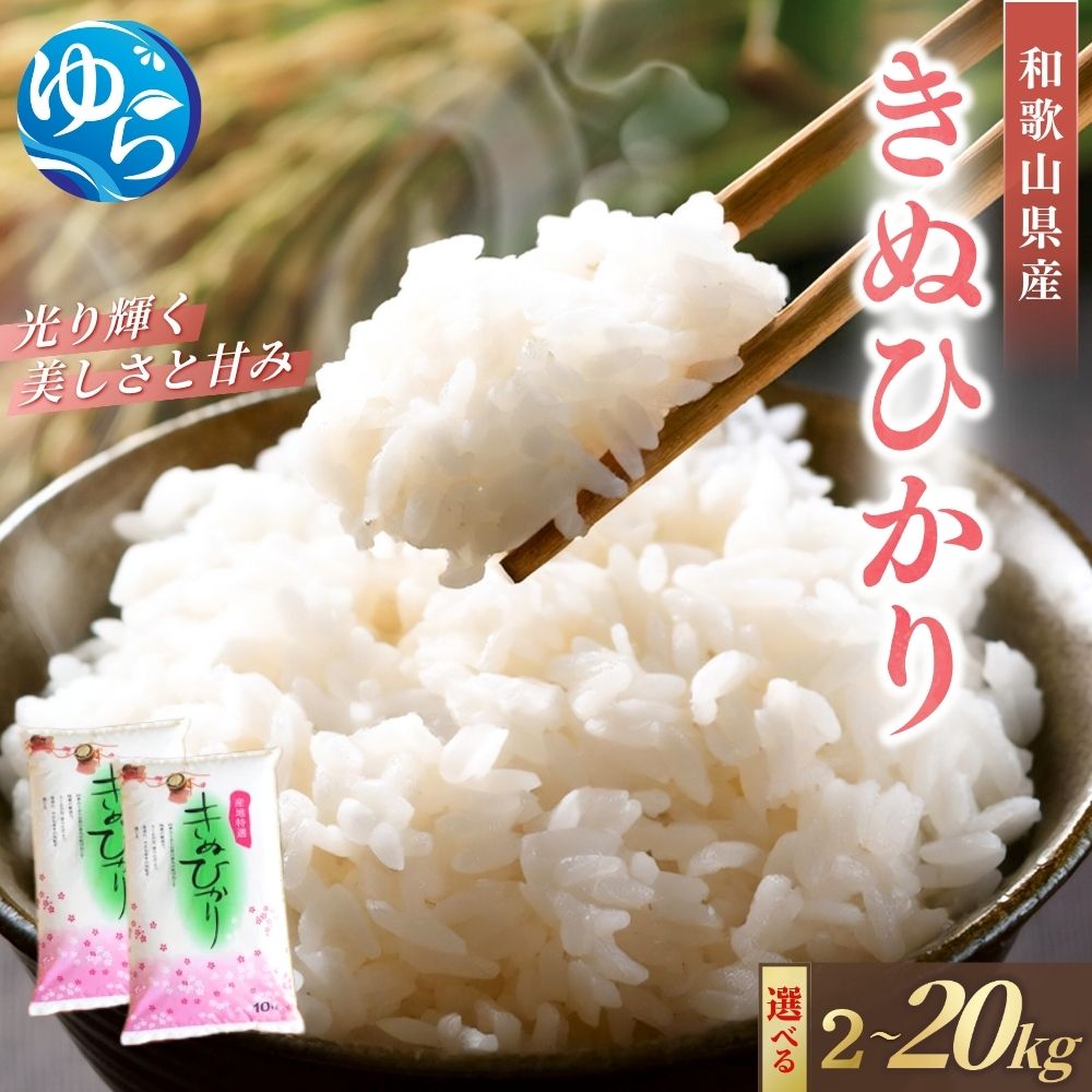 米 令和7年産 きぬひかり / 白米 2025年産 キヌヒカリ 2kg 5kg 10kg 20kg ※2025年9月中旬より順次発送