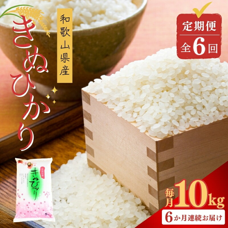 お米 定期便 全6回 和歌山県産 米 キヌヒカリ 60kg(10kg×6回) 2025年産 / 白米 定期便 食品