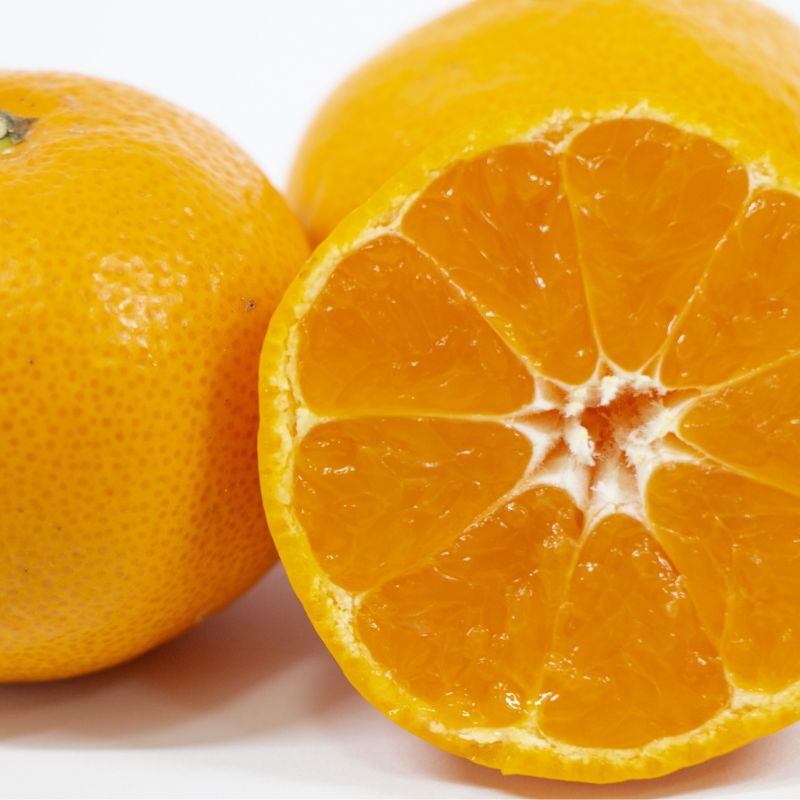 【ふるさと納税】紀州有田みかん　こつぶちゃん　約5kg | ※2025年11月下旬～2026年1月中旬頃順次発送予定 | みかん ミカン 有田 小粒 和歌山 柑橘 フルーツ 果物 くだもの 家庭用 濃厚 先行予約 期間限定 農家直送 5kg 由良町 ふるさと納税 返礼品 お礼の品 サムネイル2