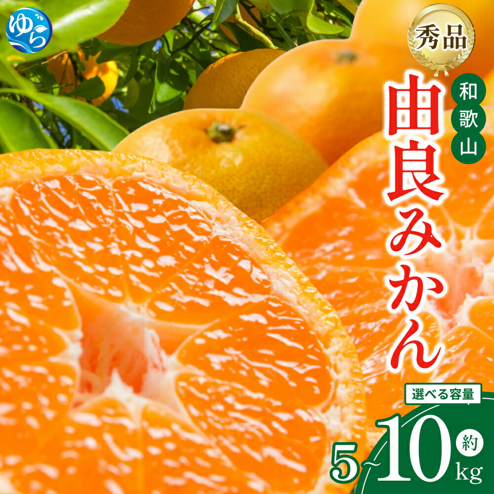 和歌山由良みかん 秀品 サイズおまかせ(L・М・S) 約5kg 約10kg | ※2025年11月下旬～2026年1月中旬頃順次発送予定 | みかん ミカン 和歌山 由良 おまかせ フルーツ 果物 柑橘 和歌山県産 お取り寄せ ふるさと納税 返礼品
