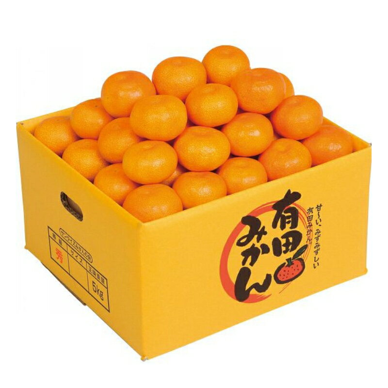 ≪赤秀≫ 完熟有田みかん ミカン 蜜柑 プレミアム 5kg (約30個) 10kg (約70個） | みかん 蜜柑 ミカン 柑橘 和歌山 完熟 濃厚 甘い 5kg 和歌山県 由良町 柑橘 くだもの 果物 フルーツ 故郷 ふるさと納税