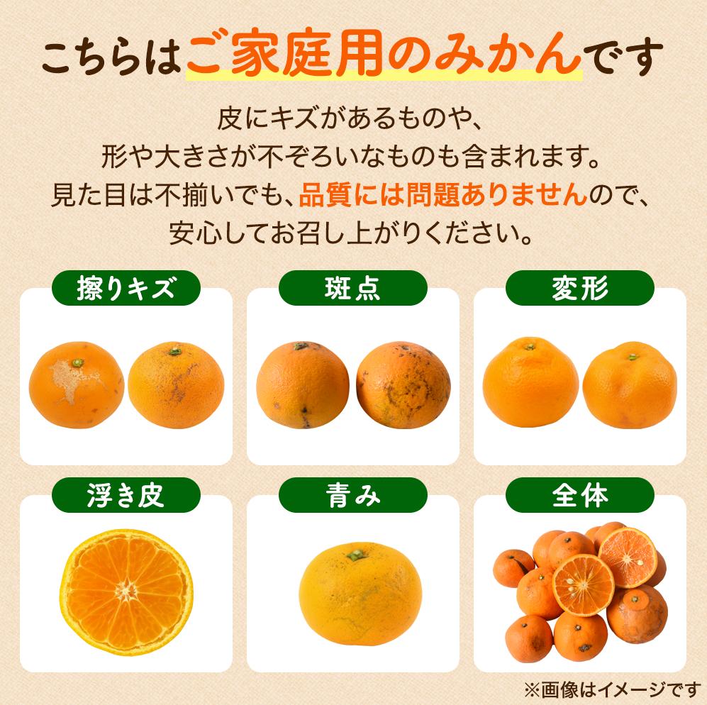 【ふるさと納税】 八朔 訳あり / はっさく みかん 家庭用 柑橘 晩柑 和歌山 甘い 5000円 / 1kg 2.5kg 5kg 7.5kg 10kg ※2026年1月〜4月下旬ごろに順次発送予定 ※北海道・沖縄・離島への配送不可 サムネイル3