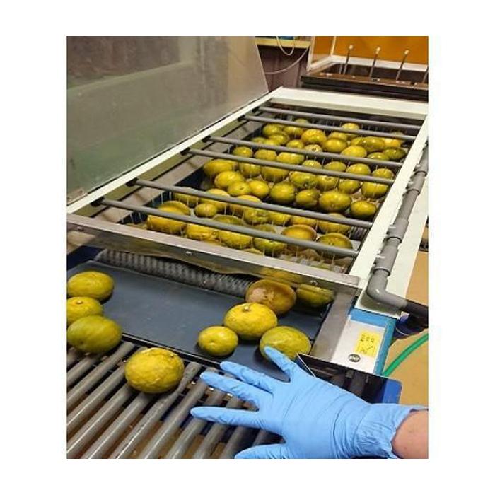 【ふるさと納税】和歌山県の柑橘じゃばらパウダー　100g | 和歌山県 印南町 和歌山 返礼品 支援 楽天ふるさと 納税 じゃばら ジャバラ パウダー 粉末 柑橘 柑橘類 かんきつ かんきつ類 ご当地 お土産 おみやげ 特産品 名産品 おいしい 美味しい お取り寄せ 取り寄せ サムネイル3