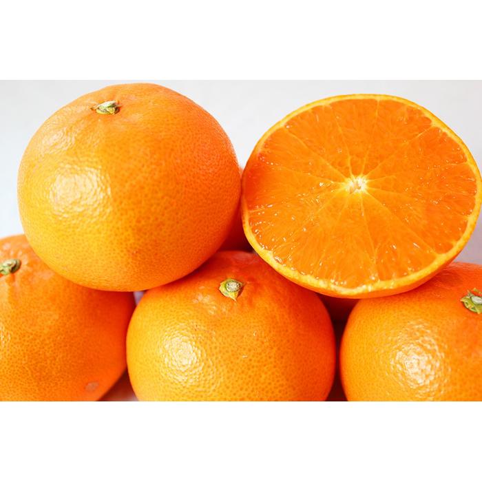 【ふるさと納税】紀州有田産せとか約2.5kg　とろける食感！ジューシー柑橘【2026年2月上旬以降発送】【先行予約】【UT02】 | 返礼品 支援 お取り寄せグルメ 取り寄せ グルメ フルーツ 果物 くだもの 家庭用 自宅用 国産 おいしい 美味しい 特産品 名産品 ご当地 サムネイル2