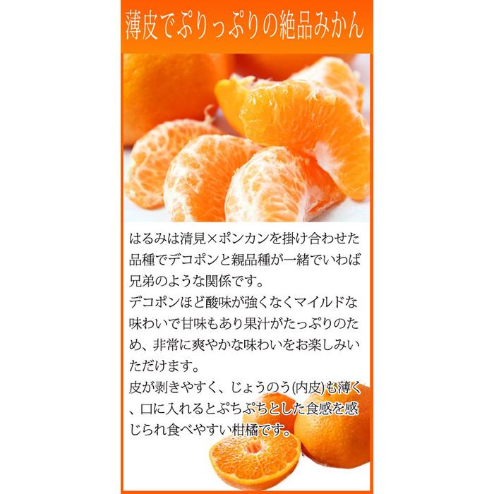 【ふるさと納税】果肉ぷりぷり!完熟はるみ　5kg【2026年2月中旬頃～2026年2月下旬頃に順次発送】【UT22】 | 和歌山 由良 和歌山県由良町 ふるさと 納税 取り寄せ お取り寄せ フルーツ ご当地 果物 柑橘 かんきつ くだもの 返礼品 返礼 特産品 名産 特産 名産品 サムネイル3