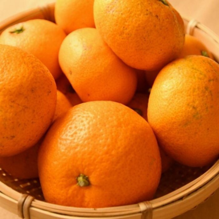 【ふるさと納税】和歌山有田みかん約5kg ご家庭用（サイズ混合）★2025年11月中旬頃より順次発送【TM102】 | 和歌山県 印南町 和歌山 返礼品 楽天ふるさと 納税 お取り寄せグルメ 取り寄せ グルメ フルーツ 果物 くだもの みかん ミカン 蜜柑 柑橘 柑橘類 サムネイル2