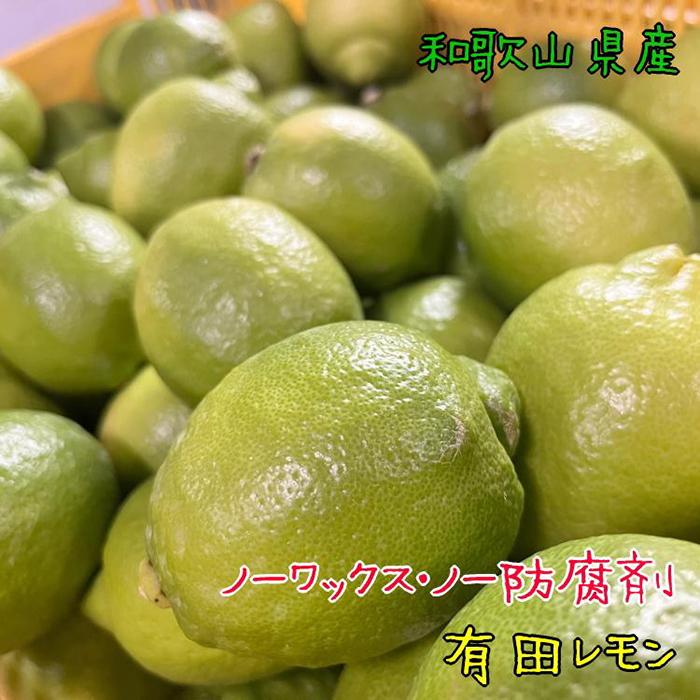 紀州和歌山 有田レモン 約2kg［農家直送］［先行予約］［MS67］