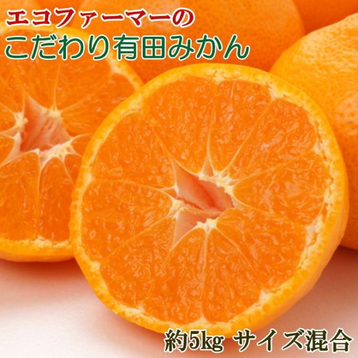 エコファーマーのこだわり有田みかん5kg（サイズ混合）★2025年11月中旬頃より順次発送 | 和歌山県 印南町 和歌山 返礼品 楽天ふるさと 納税 お取り寄せグルメ 取り寄せ グルメ フルーツ 果物 くだもの みかん ミカン 蜜柑 柑橘 柑橘類 かんきつ 有田みかん