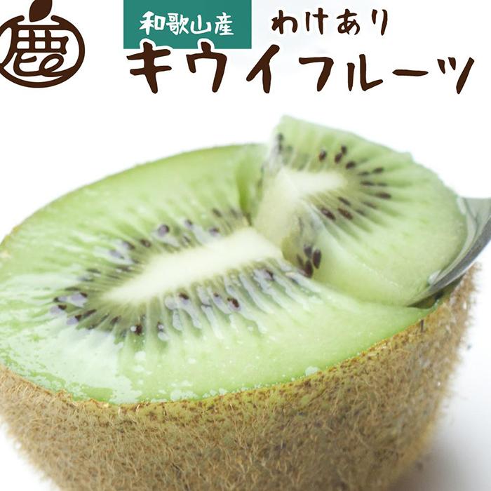 ［先行予約］家庭用 キウイ1kg+250g（傷み補償分）【わけあり・訳あり・扁平果】［IKE82］ | フルーツ 果物 くだもの 食品 人気 おすすめ 送料無料 わけあり