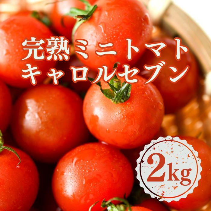 ［先行予約］完熟 ミニトマト 2kg 果物のような甘さと美味しさキャロルセブン｜ミニトマト キャロルセブン 糖度 | ミニトマト キャロルセブン 完熟 2kg 甘い 産地直送 トマト 野菜 やさい 食品 人気 おすすめ 送料無料 お取り寄せ 和歌山 印南町