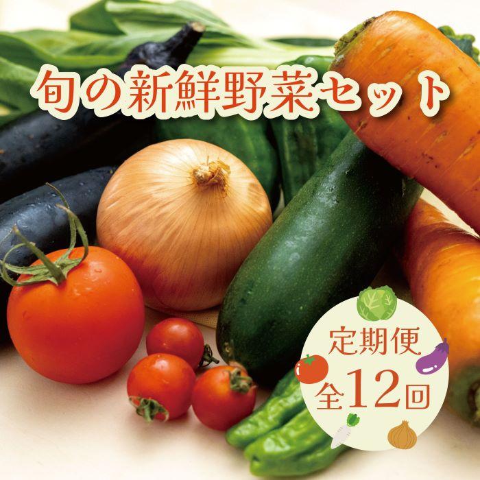 【毎月お届け全12回】旬の新鮮野菜セットA（たっぷり13種類以上） | 野菜 やさい 食品 人気 おすすめ 送料無料