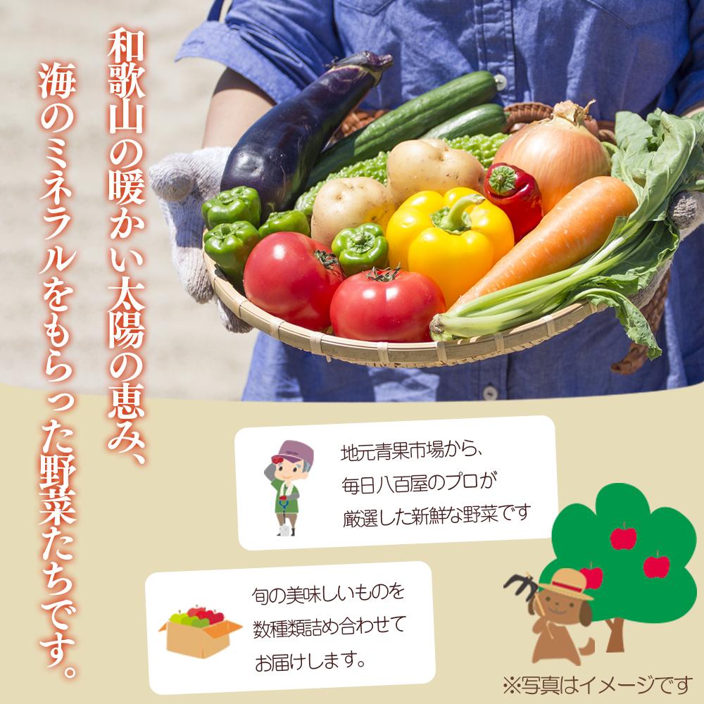 【ふるさと納税】【毎月お届け全12回】旬の新鮮野菜セットA（たっぷり13種類以上） | 野菜 やさい 食品 人気 おすすめ 送料無料 - 画像3