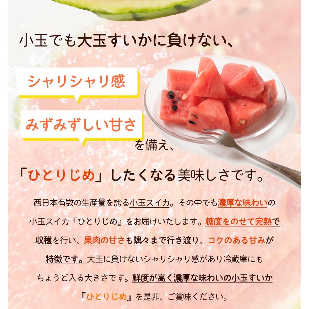 【ふるさと納税】紀州和歌山産 小玉スイカ「ひとりじめ」 1玉【2026年6月中旬頃～2026年7月上旬頃に順次発送】【UT85】 | フルーツ 果物 くだもの 食品 人気 おすすめ 送料無料 サムネイル3