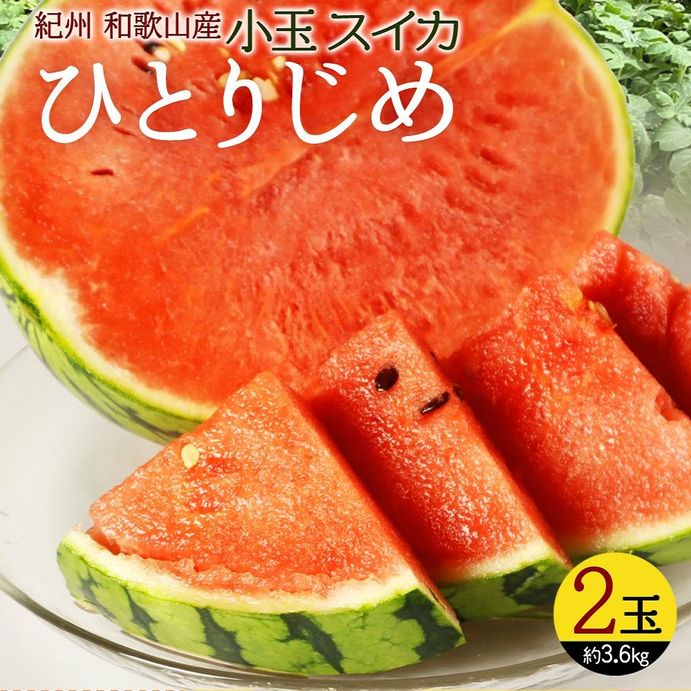 紀州和歌山産 小玉スイカ「ひとりじめ」 2玉【2026年6月中旬頃～2026年7月上旬頃に順次発送】【UT86】 | フルーツ 果物 くだもの 食品 人気 おすすめ 送料無料